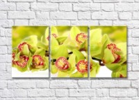 Pictură Gallerix Triptych Green Orchid Branch (500733)