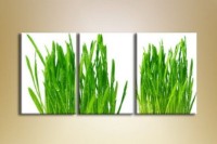 Картина Gallerix Triptych Juicy Greens (1150524)