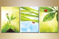 Картина Gallerix Triptych ladybugs (1409848)