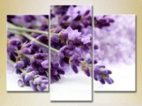 Картина Gallerix Triptych Lavender (2699505)