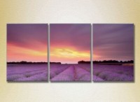 Картина Gallerix Triptych Lavender Field 06 (2181139)