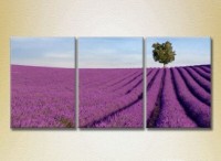 Картина Gallerix Triptych Lavender Field 08 (2181142)