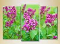 Pictură Gallerix Triptych Lilac 02 (2699559)