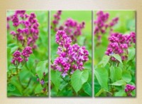 Pictură Gallerix Triptych Lilac 03 (2699543)