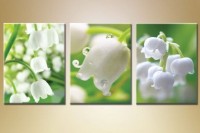 Картина Gallerix Triptych lilies of the valley 2 (1409855)