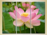 Картина Gallerix Triptych Lotus pink 01 (2699501)