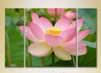 Картина Gallerix Triptych Lotus pink 02 (2699500)