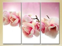 Картина Gallerix Triptych Magnolia (2699552)