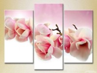 Картина Gallerix Triptych Magnolia 01 (2699550)