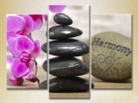 Картина Gallerix Triptych Massage stones and orchid (2699474)