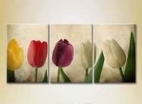 Картина Gallerix Triptych Multicolored tulips (2699561)