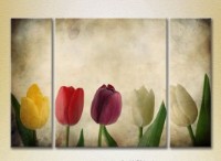 Картина Gallerix Triptych Multicolored Tulips 01 (2699456)