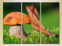 Картина Gallerix Triptych Mushroom and Leaf (2699525)
