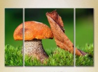 Картина Gallerix Triptych Mushroom and Leaf 01 (2699521)
