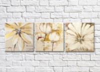 Картина Gallerix Triptych of beige and gold flowers drawing (500682)
