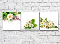 Картина Gallerix Triptych of bouquets of daisies (500690)