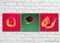 Картина Gallerix Triptych of calla flowers on a red and green background (500719)