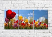 Картина Gallerix Triptych of colorful tulips (500706)