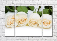 Картина Gallerix Triptych of cream roses (500700)