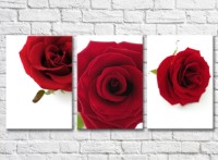 Картина Gallerix Triptych of flowers of red roses (500720)