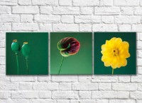Картина Gallerix Triptych of flowers on an emerald background (500721)