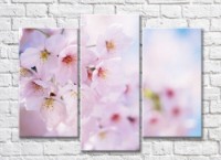 Картина Gallerix Triptych of fruit flowers (500717)