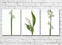 Картина Gallerix Triptych of lilies of the valley (500702)