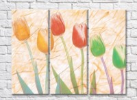 Картина Gallerix Triptych of multicolored tulips on a beige abstract background (500705)