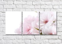 Картина Gallerix Triptych of pink flowers (500710)