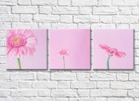 Картина Gallerix Triptych of pink gerberas on a pink background (500708)