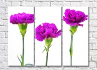 Картина Gallerix Triptych of purple carnations (500714)