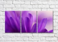 Картина Gallerix Triptych of purple petals (500715)