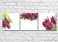 Картина Gallerix Triptych of purple tulips (500716)