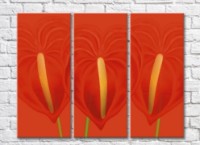 Картина Gallerix Triptych of red calla lilies (500696)