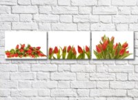 Картина Gallerix Triptych of red tulips (500699)