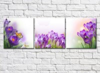 Картина Gallerix Triptych of Spring Primroses (500691)