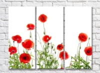 Картина Gallerix Triptych of Red Poppies (500697)