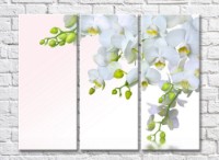 Картина Gallerix Triptych of white orchids (500685)