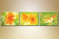 Картина Gallerix Triptych orange gerberas (1409861)