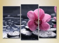 Картина Gallerix Triptych Orchid Purple 01 (2699558)