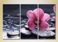 Картина Gallerix Triptych Orchid Violet (2699545)