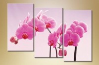Картина Gallerix Triptych Orchids 1 (1612532)