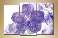 Картина Gallerix Triptych Orchids 14 (1612514)