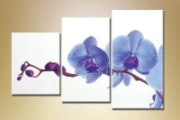 Картина Gallerix Triptych Orchids 15 (1612524)