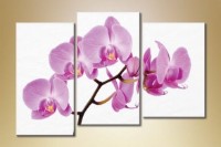 Картина Gallerix Triptych Orchids 2 (1612530)