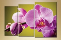 Картина Gallerix Triptych Orchids 3 (1612525)