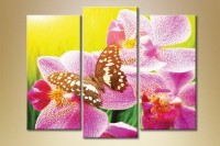 Картина Gallerix Triptych Orchids 4 (1612510)