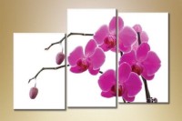 Картина Gallerix Triptych Orchids 6 (1612520)