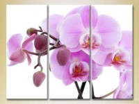 Картина Gallerix Triptych Orchids lilac with buds (2699484)