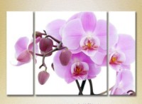 Картина Gallerix Triptych Orchids lilac with buds 01 (2699487)